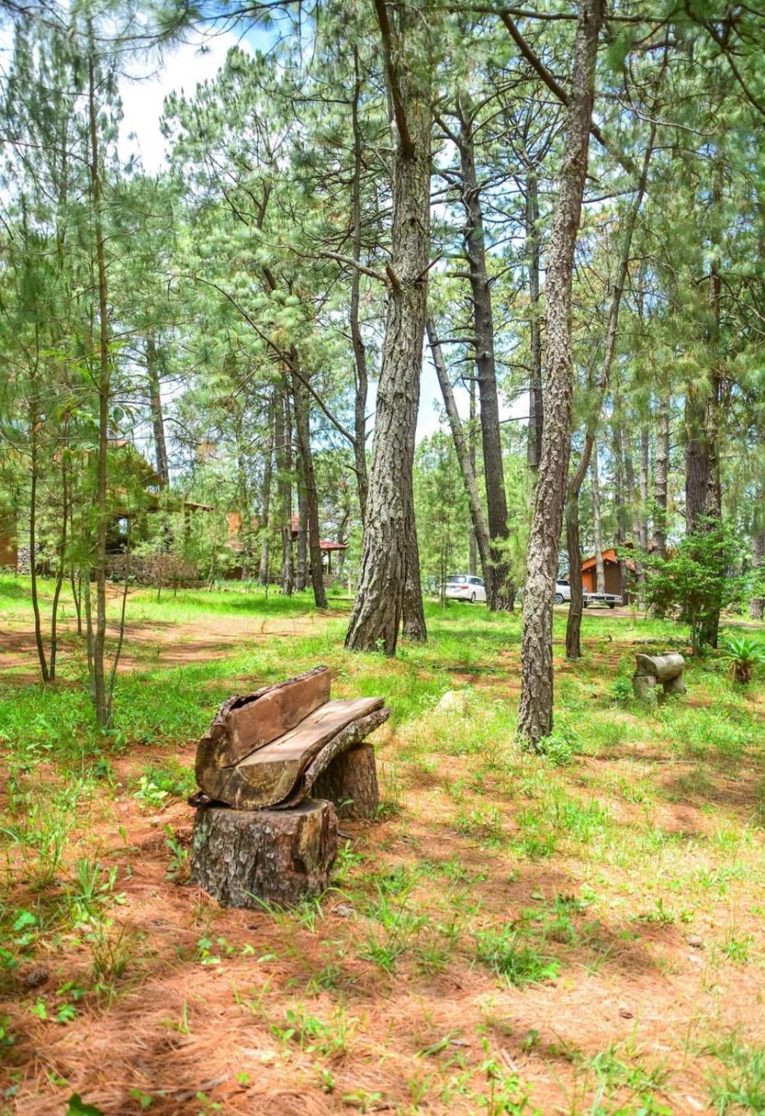 Monterra Tapalpa Hotel Екстериор снимка
